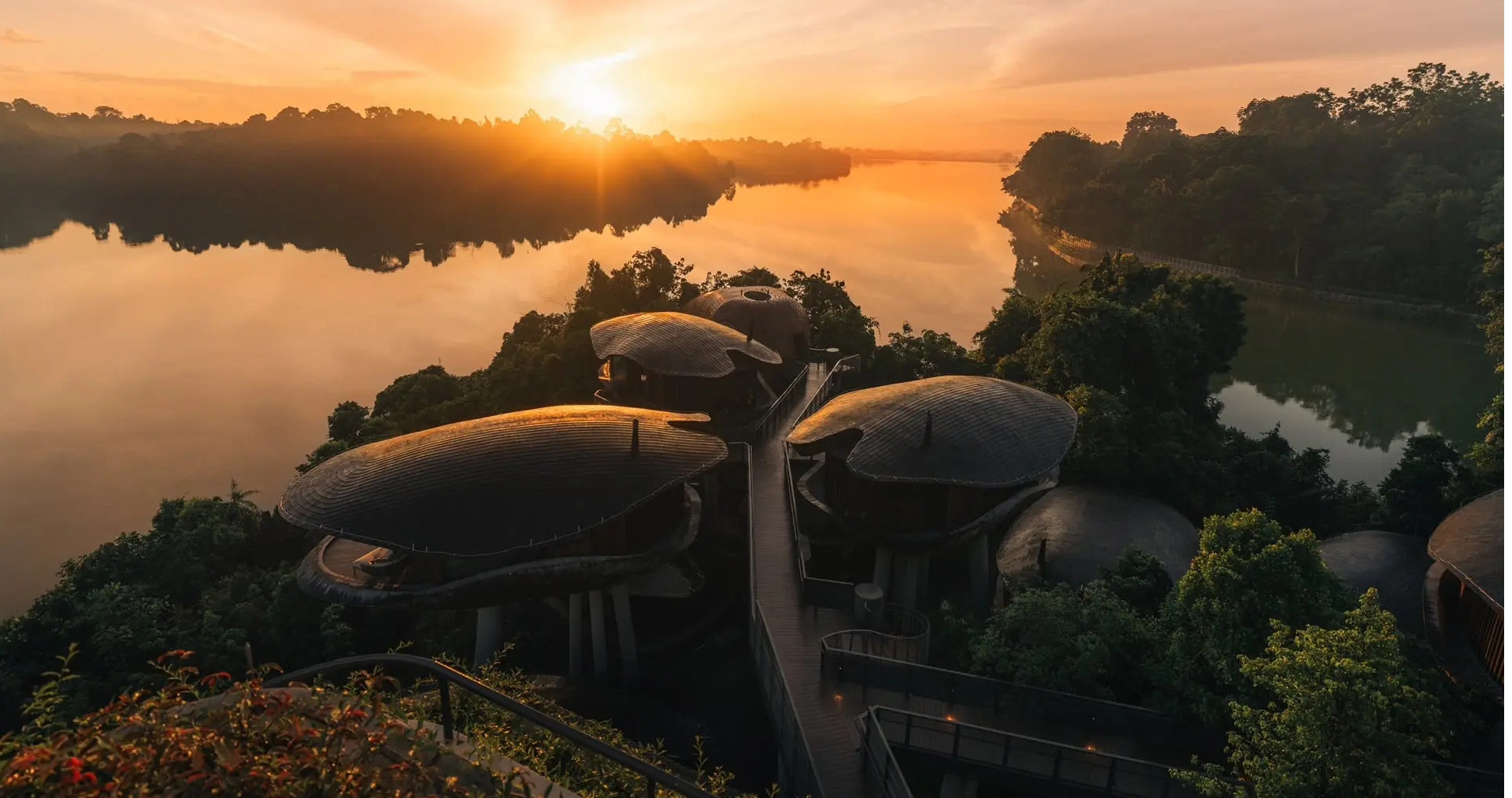 Mandai Rainforest Reserve